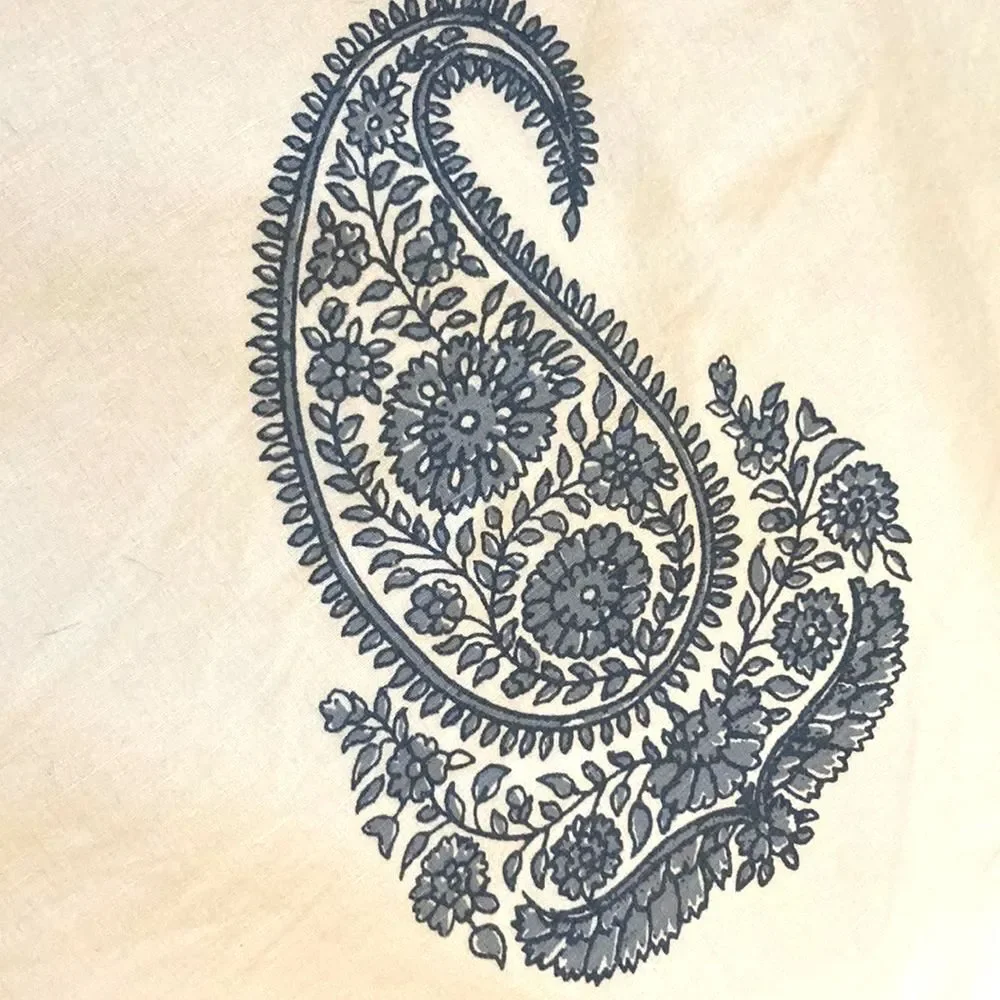 POTTERY BARN Rayna Pillow Covers with Ties Linen Cotton Paisley Design STANDARD